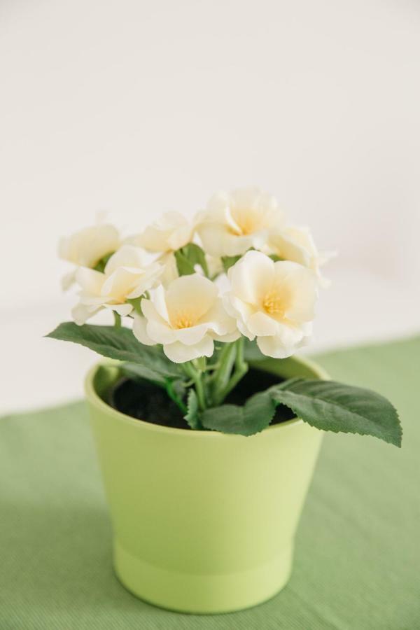 B&B Fior Fiore Spello Luaran gambar